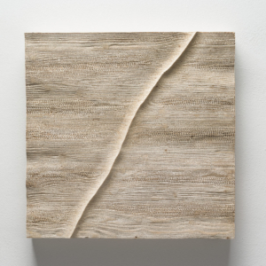 Jasan Zoubek, Hřbet, 62x62 cm, dřevo, prodáno
